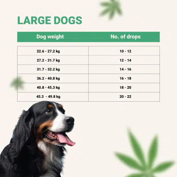 DOG MG CHART 02