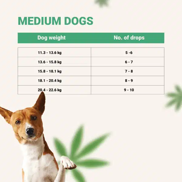 DOG MG CHART 03
