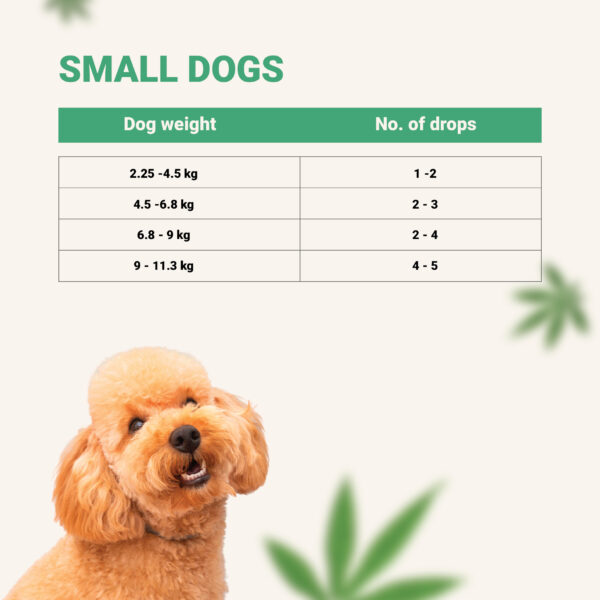 DOG MG CHART 05