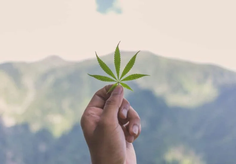 Natural cure with CBD
